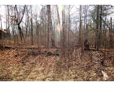 L3 B13 WB15 Winter Trail, Breezy Point, MN 56472 - photo 5