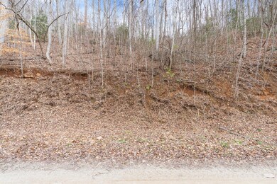 Lot 10 Calebs Way, Franklin, NC 28734 - photo 5