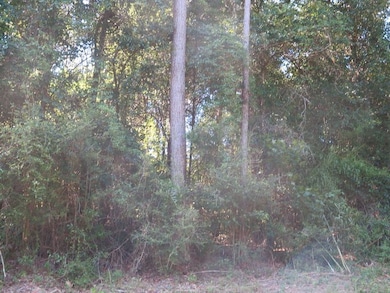 Meador Rd, Laurel, MS 39443 - photo 7