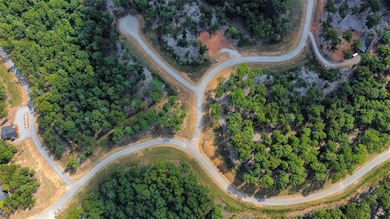 LT 84 Ridge Dr, Morganton, GA 30560 - photo 5