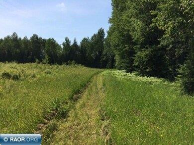 TBD Anderson Rd, Toivola, MN 55765 - photo 5