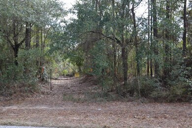 Chestnut-access