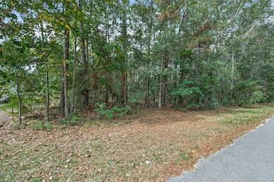 Lot 453 N Woods, Cleveland, TX 77328 - photo 7