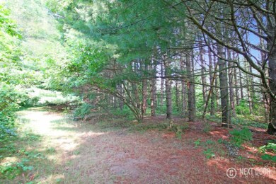 Pine Path