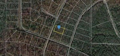 6854+VFP Horseshoe Bend unit Arkansas AR USA, Horseshoe Bend, AR 72512 - photo 3