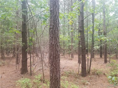 1600 Chopping Rd, Mineral, VA 23117 - photo 4