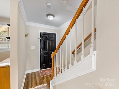 1310 Green Oaks Ln unit D, Charlotte, NC 28205 - photo 6