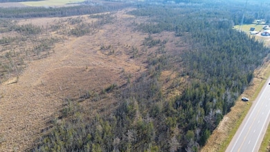 Highway 45, Birnamwood, WI 54414 - photo 6