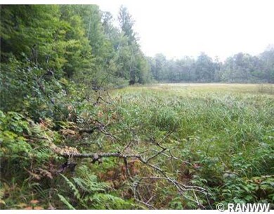0 N Point Lake Rd, Webster, WI 54893 - photo 3