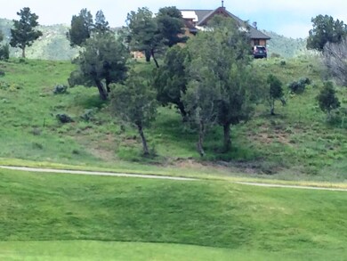 Looking South at Lot from 10 Green