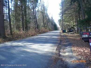 1 Maple St, Elmhurst Township, PA 18444 - photo 7