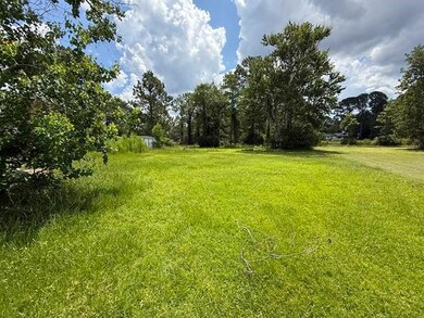 1157 Redfish Dr, Darien, GA 31305 - photo 5