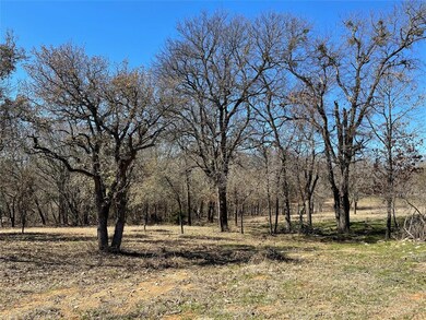 Lot 16 N 44 Ln, Weatherford, TX 76085 - photo 2