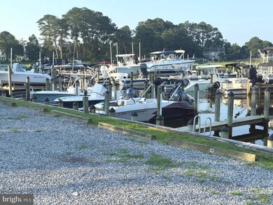 223 Chad Place Manor, Ocean View, DE 19970 - photo 5