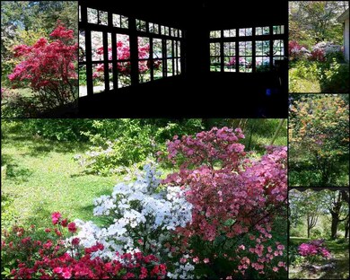Enjoy the gorgeous colors of your landscape.