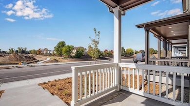 4686 Combine Ln, Johnstown, CO 80534 - photo 6