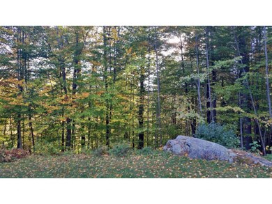 70 Grimes Hill Rd, Newfane, VT 05345 - photo 6