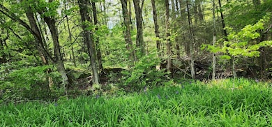 0 Bailes Rd, Nettie, WV 26681 - photo 2