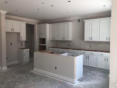 Kitchen - cabinets are in!