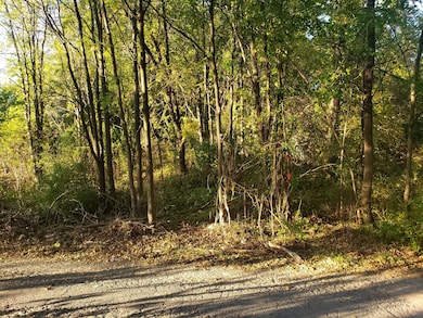 7234 Ash Place, Gary, IN 46403 - photo 4