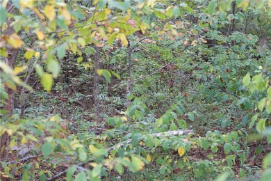 0 Hudson Ln, Bella Vista, AR 72715 - photo 3