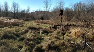 IMG_20171129_131918568_HDR