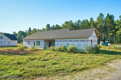 171 Spring Meadows Dr, Aberdeen, NC 28315 - photo 4