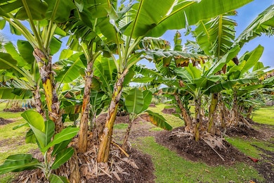 0 Mapuana Ave unit 726138, Pahoa, HI 96778 - photo 5