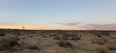 2 Belmont St, Joshua Tree, CA 92252 - photo 6