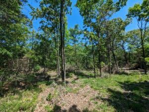 TBD 7A Spring Creek Trail, Cecil, AR 72930 - photo 2