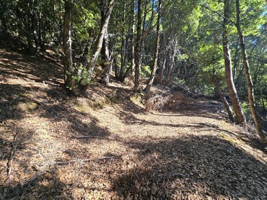 000 Panther Gap Rd, Honeydew, CA 95545 - photo 5