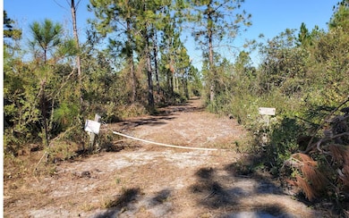 0 Brown Rd unit 123992, Lee, FL 32059 - photo 7