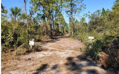 0 County Line Rd unit 123992, Lee, FL 32059 - photo 7