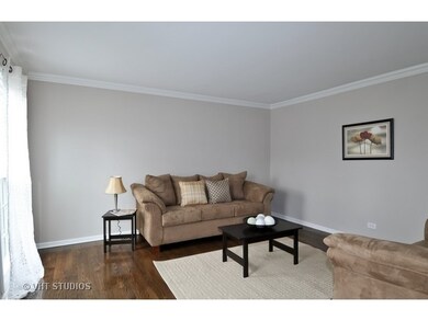 5060 Switch Grass Ln, Naperville, IL 60564 - photo 2