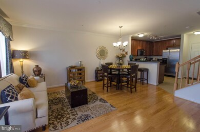 22966 Newcut Rd unit 2361, Clarksburg, MD 20871 - photo 5