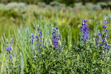 005_05-926supland-05_285