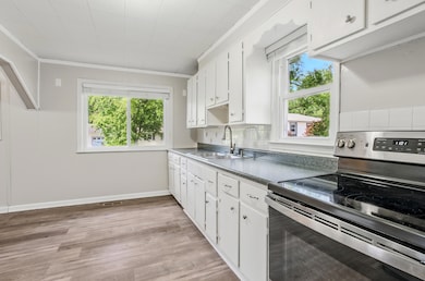 Kitchen detail