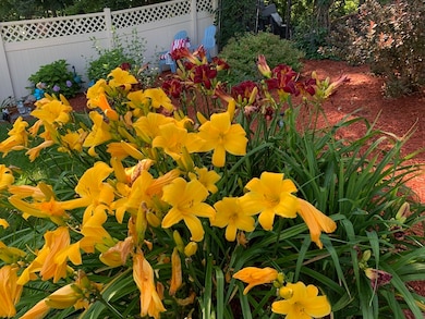 21 Starling Way, Leominster, MA 01453 - photo 5