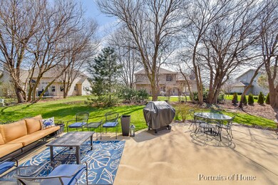 Large Trees at back of yard for privacy
