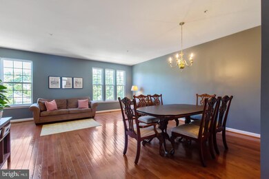 511 Spectator Ave, Hyattsville, MD 20785 - photo 6