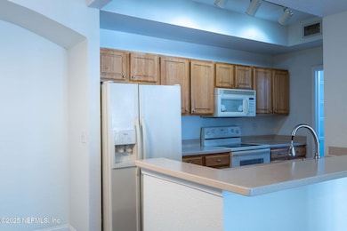 10075 Gate Pkwy N unit 2501, Jacksonville, FL 32246 - photo 3