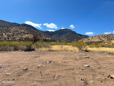 TBD E Carr Canyon Rd unit 4, Sierra Vista Southeast, AZ 85615 - photo 5