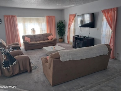 1155 W 8th St, St. Johns, AZ 85936 - photo 7