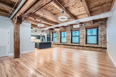 368 W Huron St unit 2N, Chicago, IL 60654 - photo 4