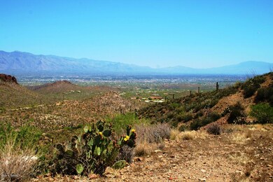 img_3176