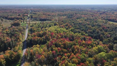 287 White Rd, Parish, NY 13131 - photo 5