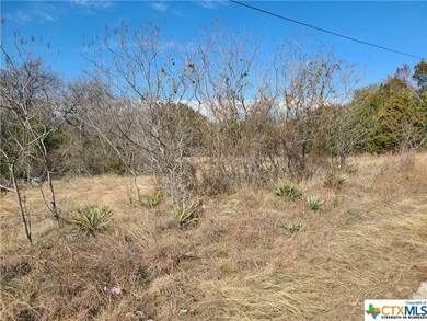 965 Greystone Dr, Copperas Cove, TX 76522 - photo 3