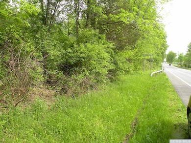 0 Route 9h Oldpost Rd unit 156889, Ghent, NY 12075 - photo 7