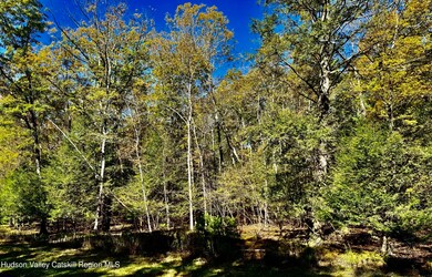 44 Falling Waters Dr, Palenville, NY 12463 - photo 7