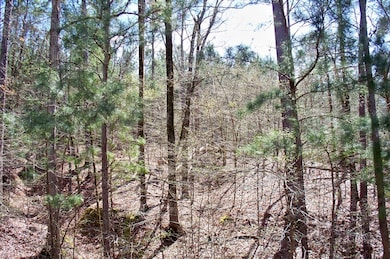 1290 Northwoods Dr, Greensboro, GA 30642 - photo 5